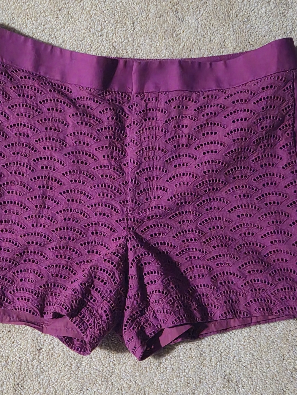 Calvin Klein Purple Scalloped Eyelet Lace Shorts Magenta‎ Size 12